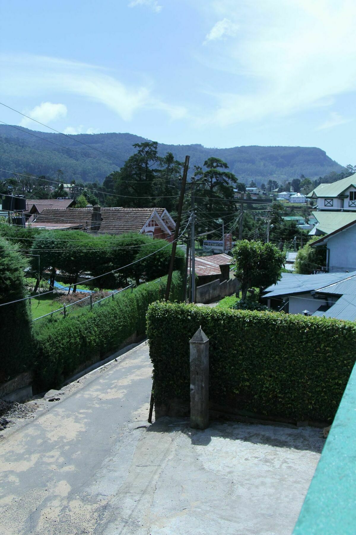 Blue Moon Guest house 3*