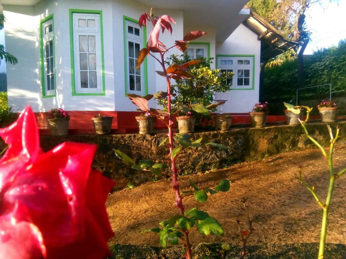 Homestay Mountain View