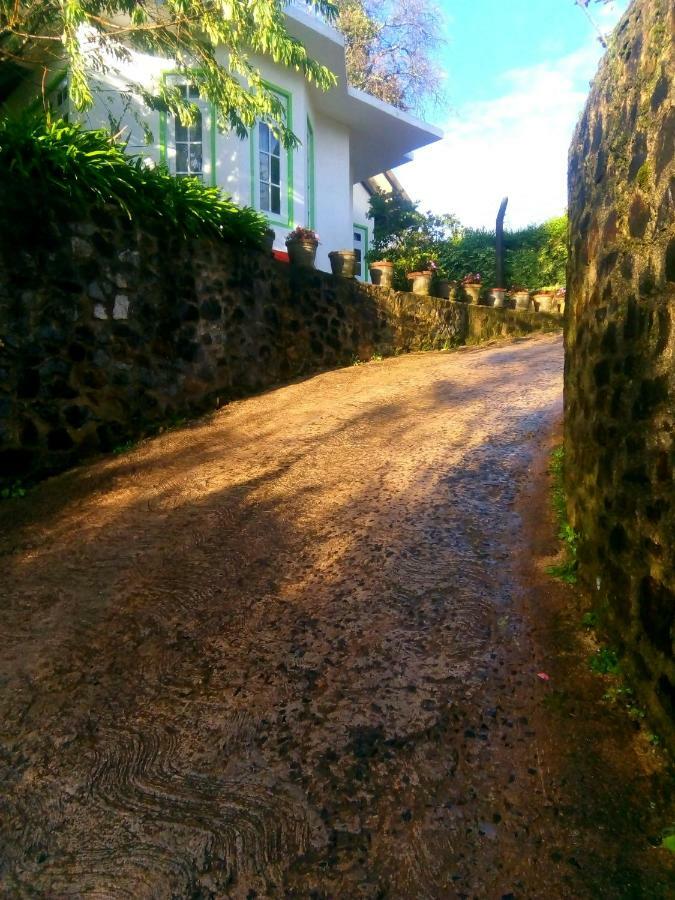 Mountain View * Nuwara Eliya