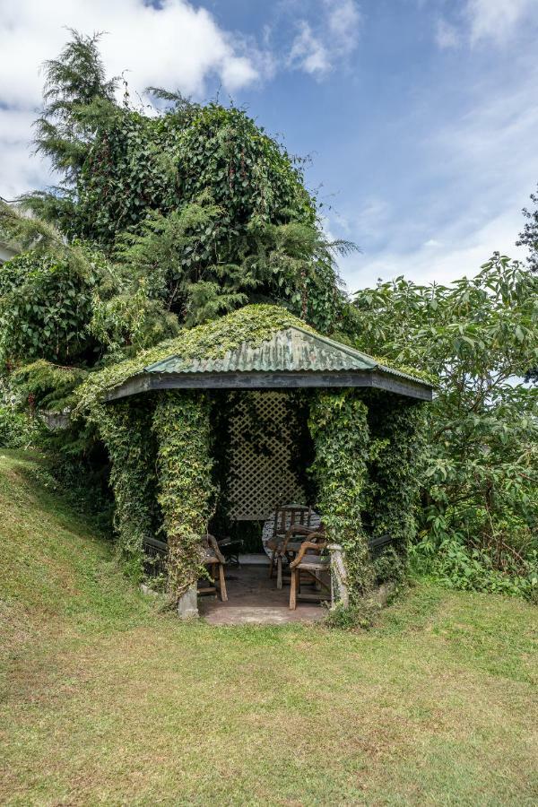 Hillsborough Nuwara Eliya