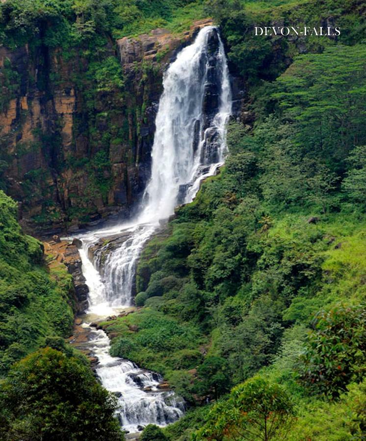 Gregory Hills Guest house Nuwara Eliya