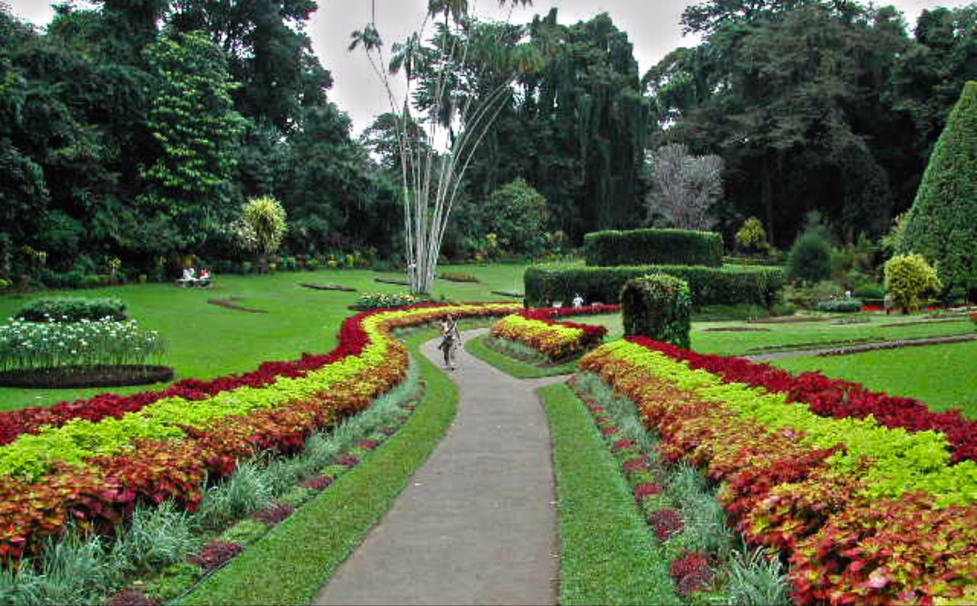 Hotel 42 Nuwara Eliya