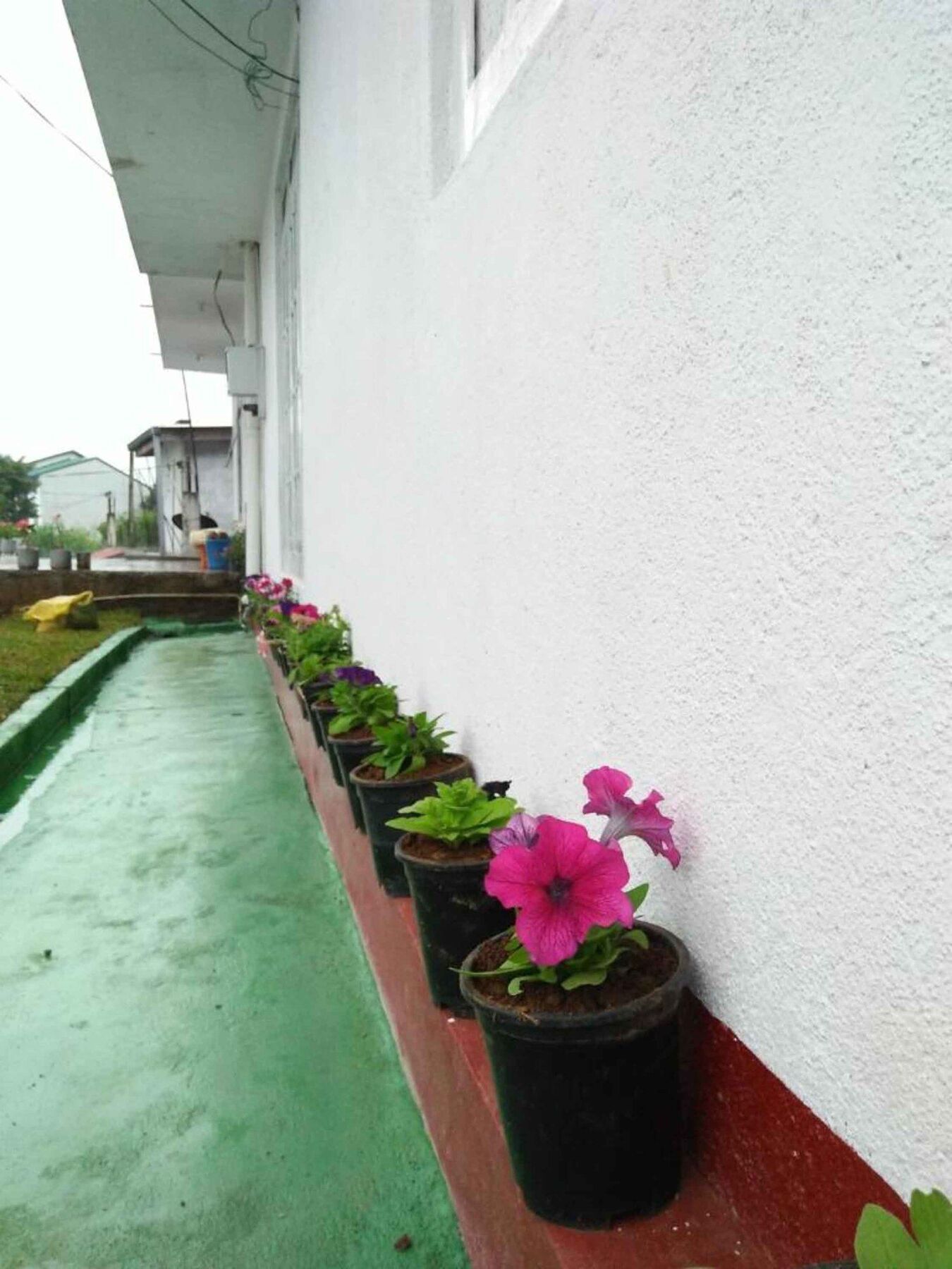 Hotel Yoho Step On Budget Nuwara Eliya