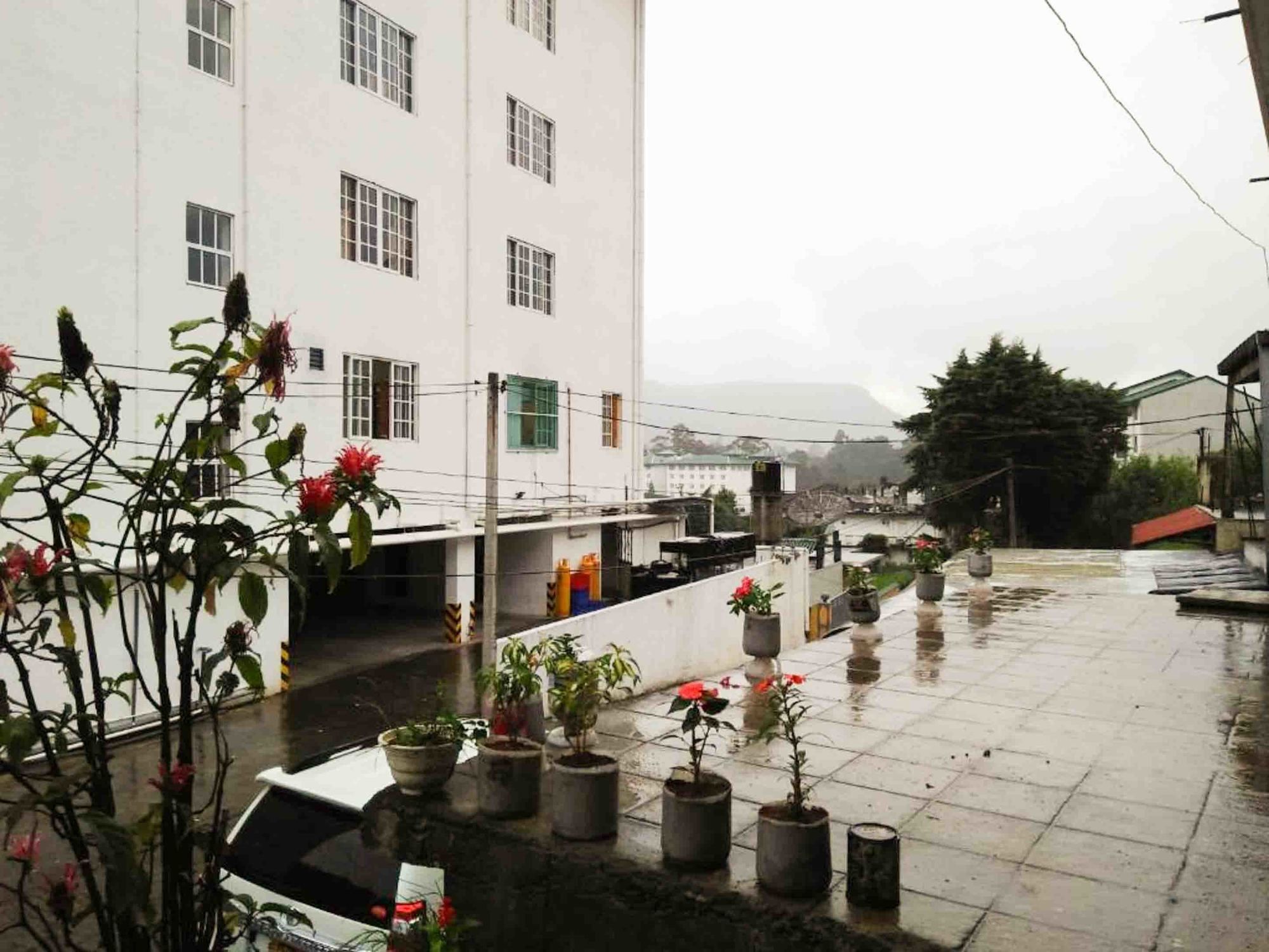 Yoho Step On Budget Hotel