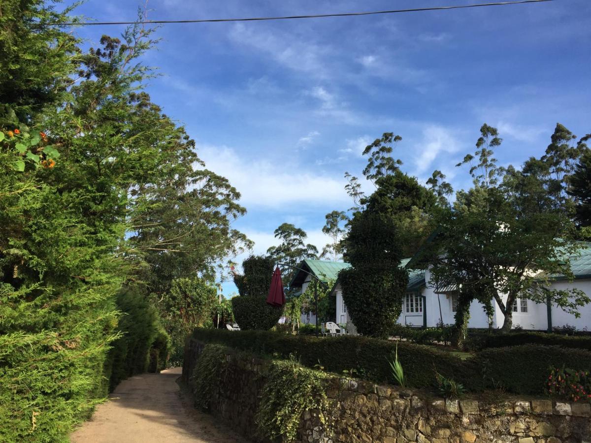 The Trevene Hotel 2*
