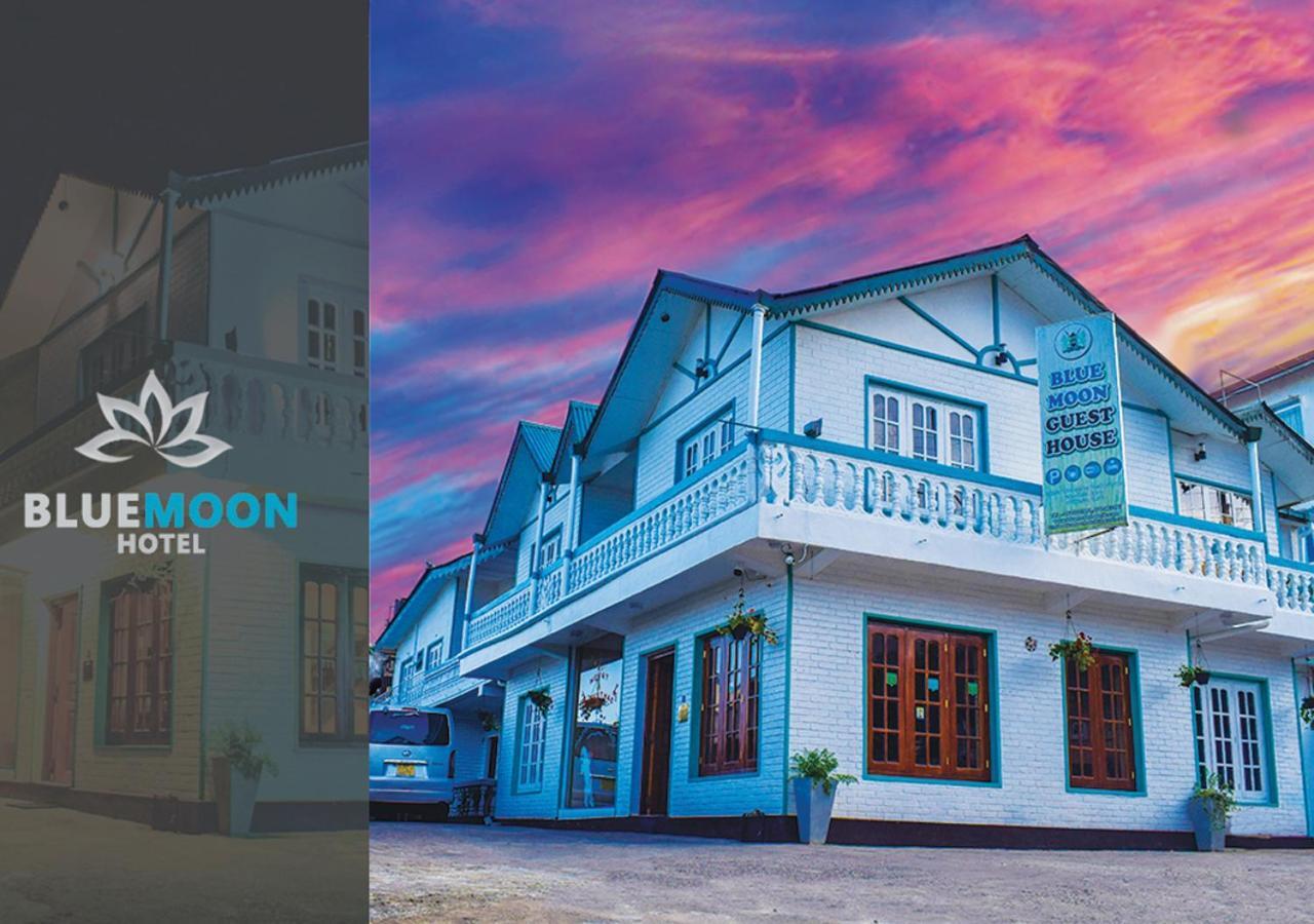 Blue Moon Guest house