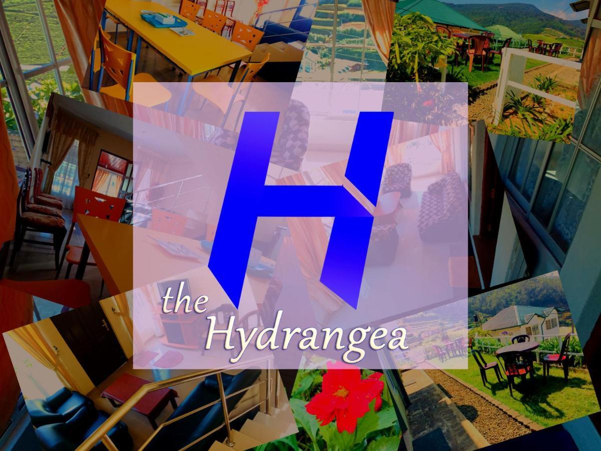 Hydrangea Guest house *