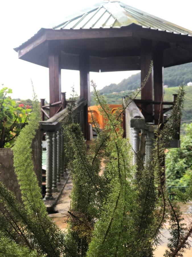 Pigeons Nest Bed & Breakfast