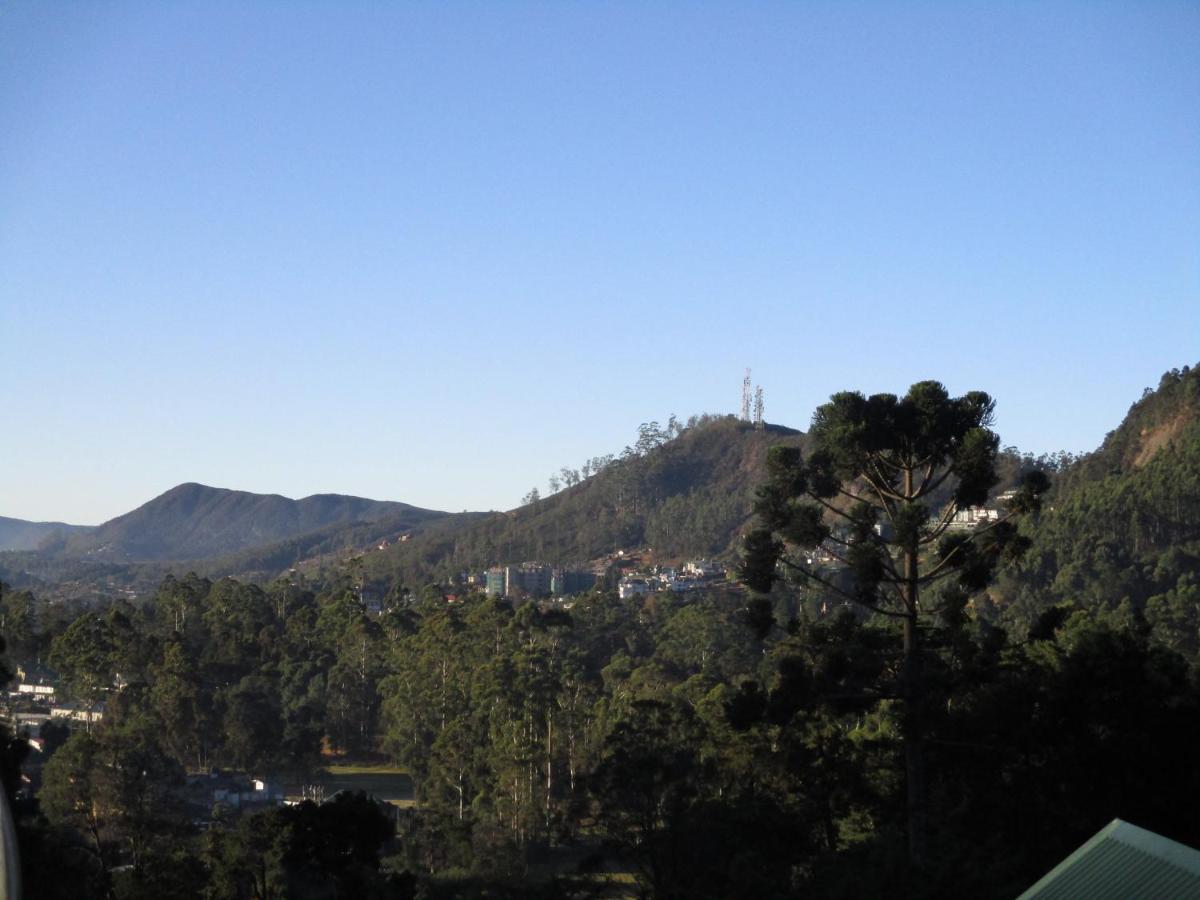 Redwood Homestay *