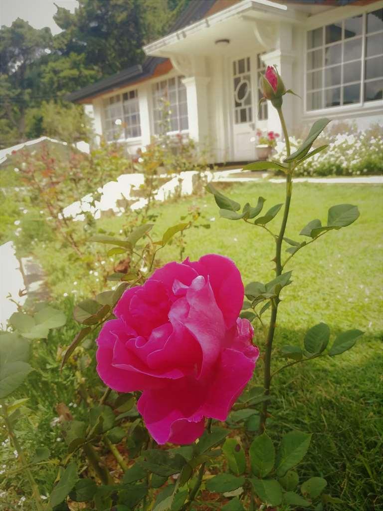 The Victoria Bungalow * Nuwara Eliya