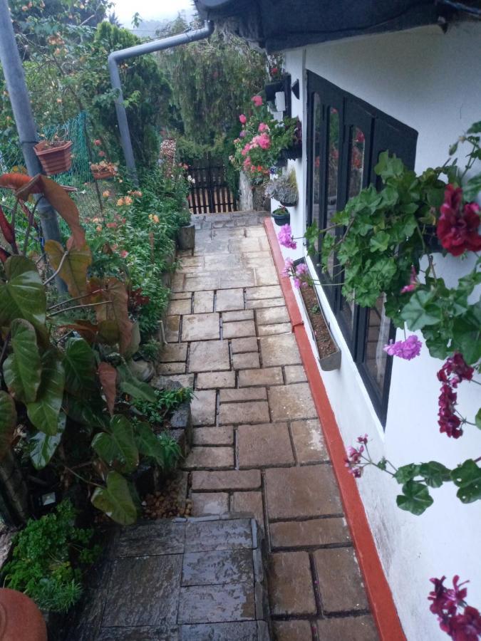 Guest house Redwood Homestay *