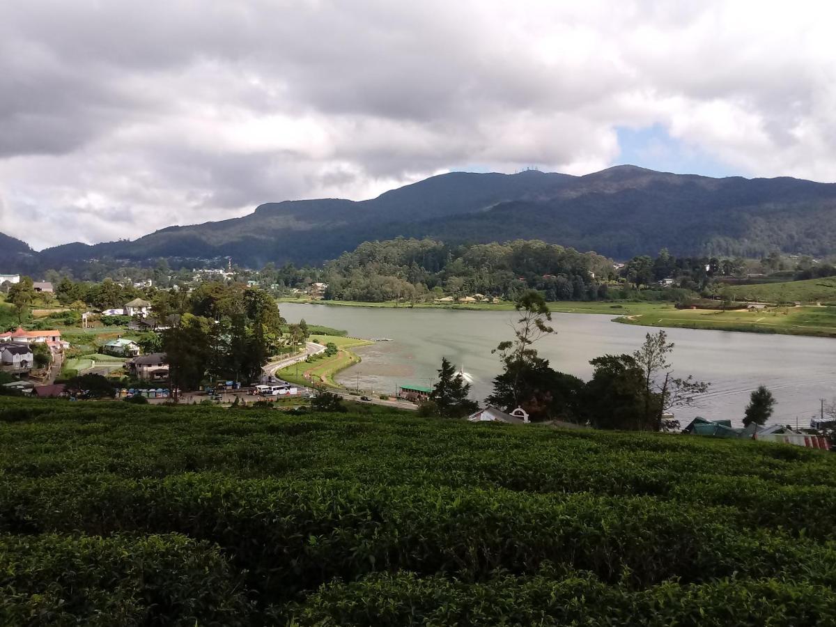 Eco Creations Nuwaraeliya Nuwara Eliya