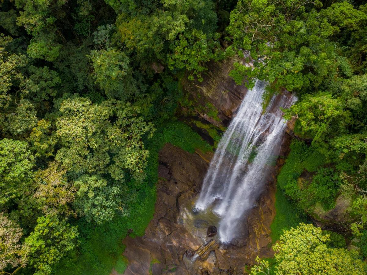 Mandaram Eco