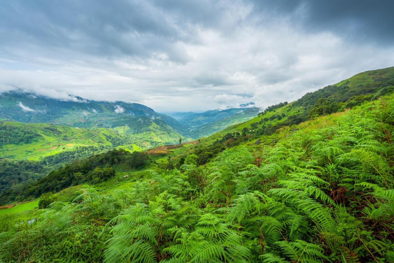 Mandaram Eco 3* Nuwara Eliya