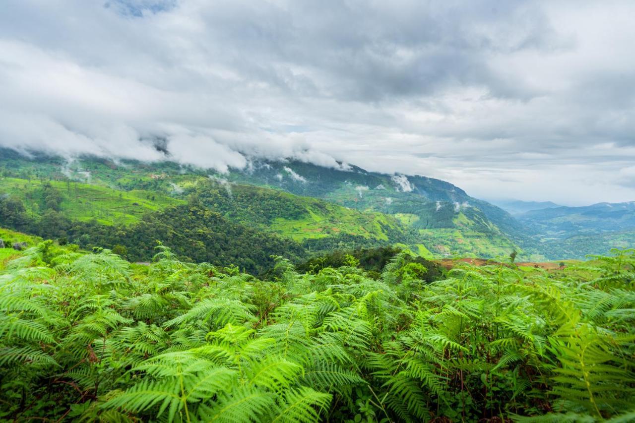 Resort Mandaram Eco Nuwara Eliya