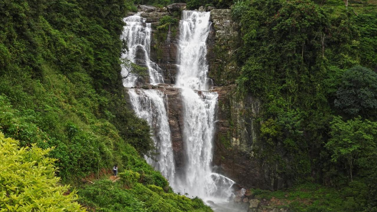 Delphin 3* Nuwara Eliya