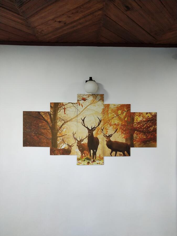 B&B Nuwara Eliya Nuwara Eliya