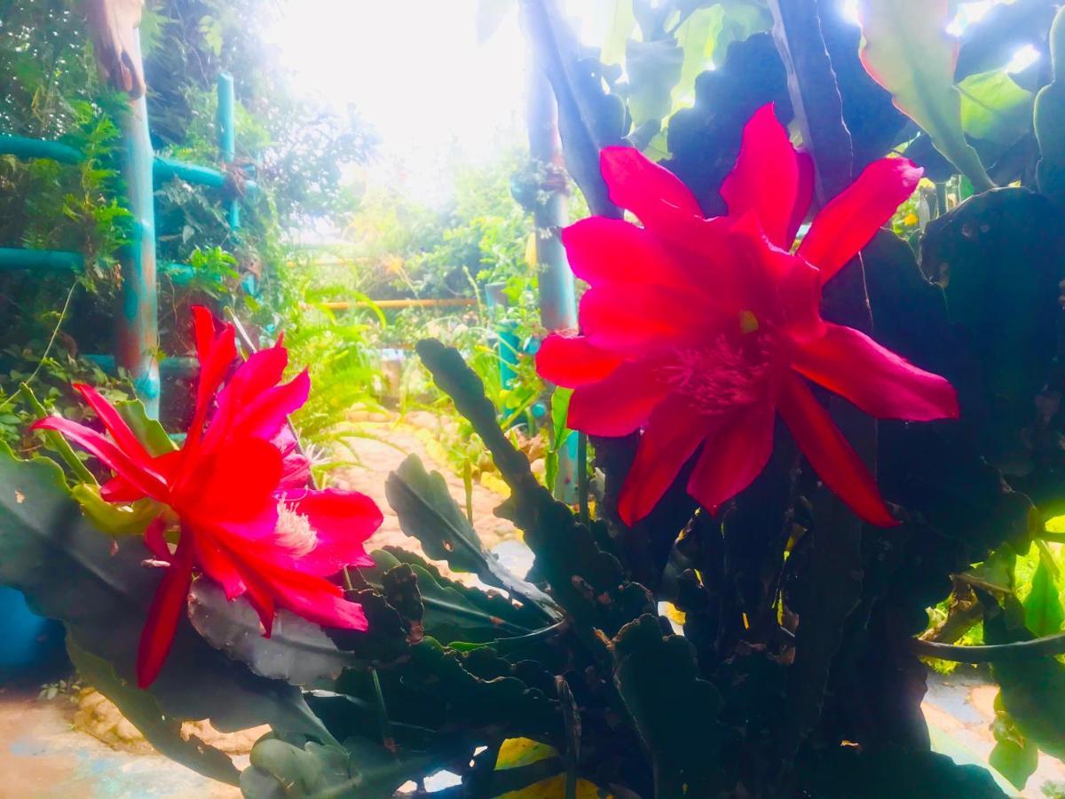 Heidi's Guest house Nuwara Eliya