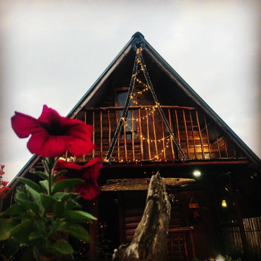 Redwood Hollow Cabins